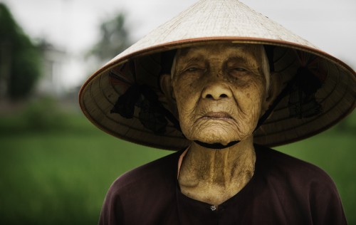 Cosechadora de Arroz en Vietnam