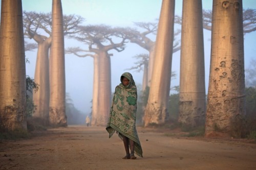 Nina Malagasy entre arboles baobab