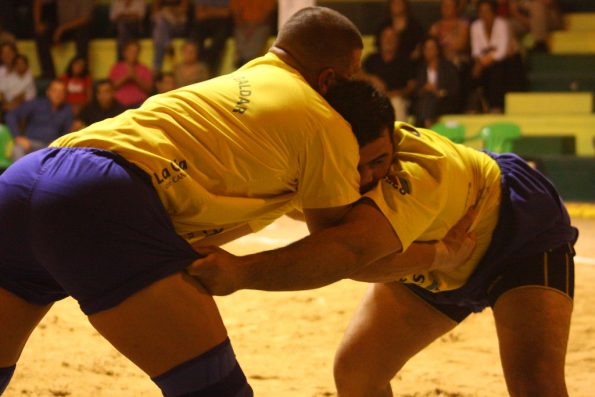 lucha canaria dia de canarias