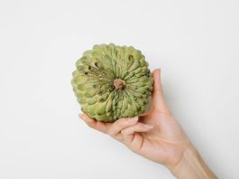 crop woman with annona fruit