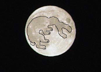 hare on moon design
